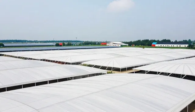 酒泉网站建设，如何避免常见误区与提升效果
